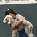 골든블랙123 이미지