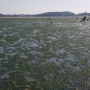 노을 그린 바다 펜션 이미지