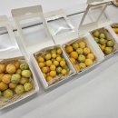 금정구종합사회복지관 이미지