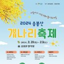 충남개나리