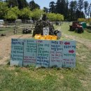 동건목장 이미지