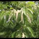 대경농장 이미지