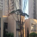 서울게스트하우스 | [서울/강남] 개포자이프레지던스 게스트하우스 숙박 후기