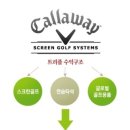 캘러스크린골프 이미지