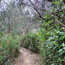 모덕경기장(테니스장) 이미지