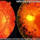 지니스안경 검단마전역점 이미지