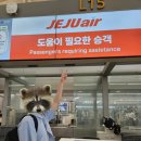 (주)해피소프트 | [오키나와 태교여행上] 오달렌터카, 해피팬케이크, 키세키 오키나와 소면, Blue Entrance Kitchen 타코🌮