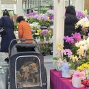 싱그러운청도로(가을) 이미지