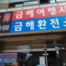금해여행사