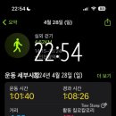 임신29주 30주 31주 임신8개월 배크기 몸무게 임산부일기