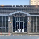 광주 오치동 푸짐한 비주얼 폭발! 유럽 감성 양식 맛집 &#34;코발트&#34; 솔직 후기/리뷰!!!