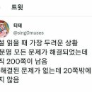 하우하우스(How House) | 2024 령말정산