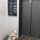 동물병원 오월의산책 이미지