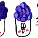 마석황토24시참숯사우나 이미지