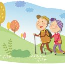 가을플러스건강 - 화성시 31만세로 1105-1 | 가을플러스건강