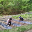 승찬농원 이미지