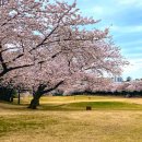 (주)태광개발