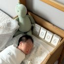 도림초등학교 | 메르디앙 산후조리원 후기 조리원 신생아 홍반 원인 아기 피부