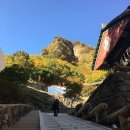 청량사 산사음악회 | [김경호] 2018.10.20 청량사 산사음악회