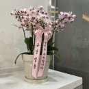 서창숲한의원 이미지