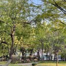 권유공인중개사사무소 이미지