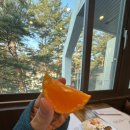 산포마을 | 8살 아이와 2박3일 울진여행기ㅣ3일차ㅣ울진덕구온천ㅣ울진바지게시장ㅣ그림책마을 산포애서 카페