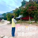 해인사 | 무교인이 다녀온 합천 해인사 주말 체험형 템플스테이 후기 (방소개부터 총평까지!:)