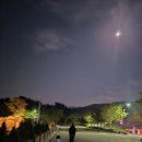 온가족놀이터 놀이터 뽀끼뽀끼 | 아이랑 장수누리파크 캠핑장 동물 카라반 이용 마인크래프트 놀이터 키즈카페 후기