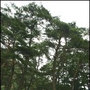 아름마을 이미지