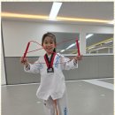 팀태권도장 이미지