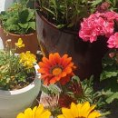 주영에이스빌1차 이미지