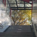 다온지압안마원 이미지