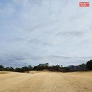 한림용인 이미지