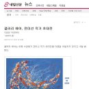갤러리에아 네이버블로그