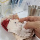 조인정형외과의원 이미지