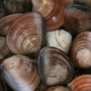 조개시장 이미지