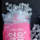 부경얼음