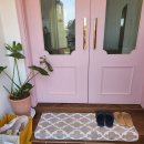 시고르하우스 이미지