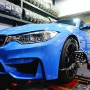 F80 이미지