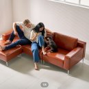 메이플치과의원 | 10월 (2)