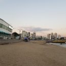 서가산곰장어 이미지