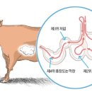 양모리 양대창 이미지