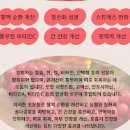 오미자 효능 효과 및 부작용 오미자차 먹는법 이미지