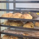 137.불현동행정복지센터_1 | 세 아이랑 같이 가기 좋은 건강 베이커리 굿뉴스 치아바타