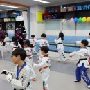 목동 태권도장 이미지
