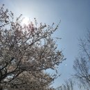 안덕보건지소 이미지