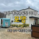 포항애견 | 포항 애견운동장＆애견카페 [포댕] 내돈내산 후기