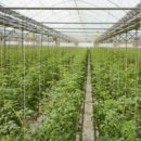 태성환경산업㈜ 이미지