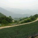 김삿갓면-11 Daum카페