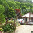 전원향기 이미지